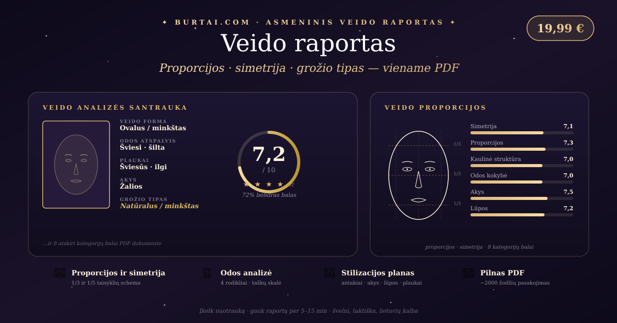 Veido raporto pavyzdys — bendras balas, proporcijos, kategorijų grafikai